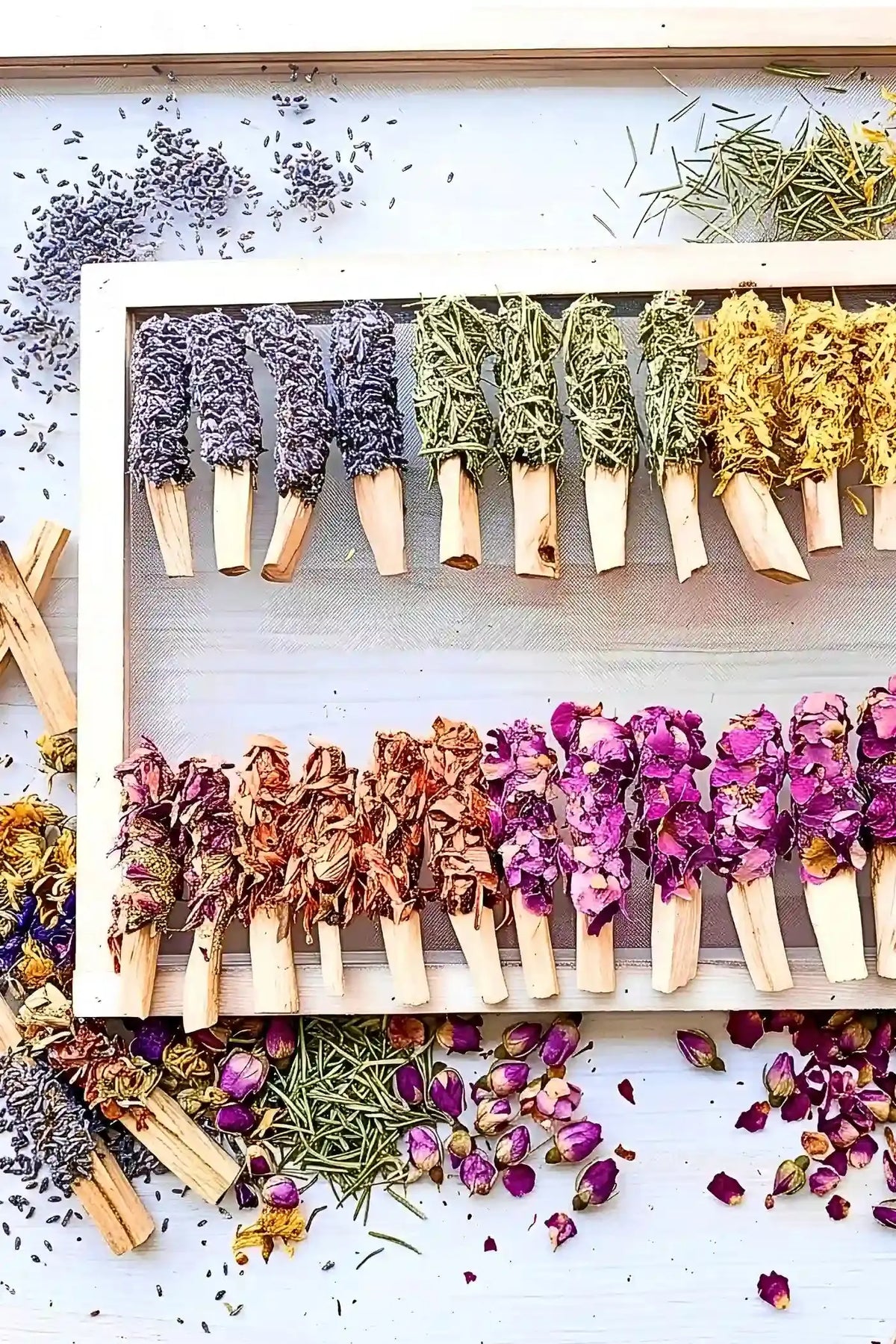 Palo Santo Peru Floral close up aromatic