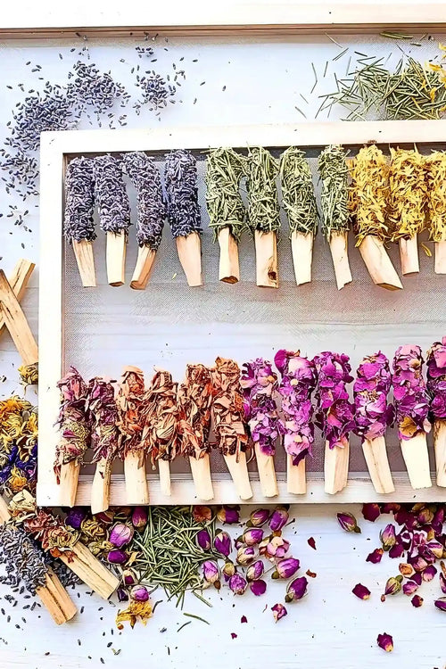 Palo Santo Peru Floral close up aromatic